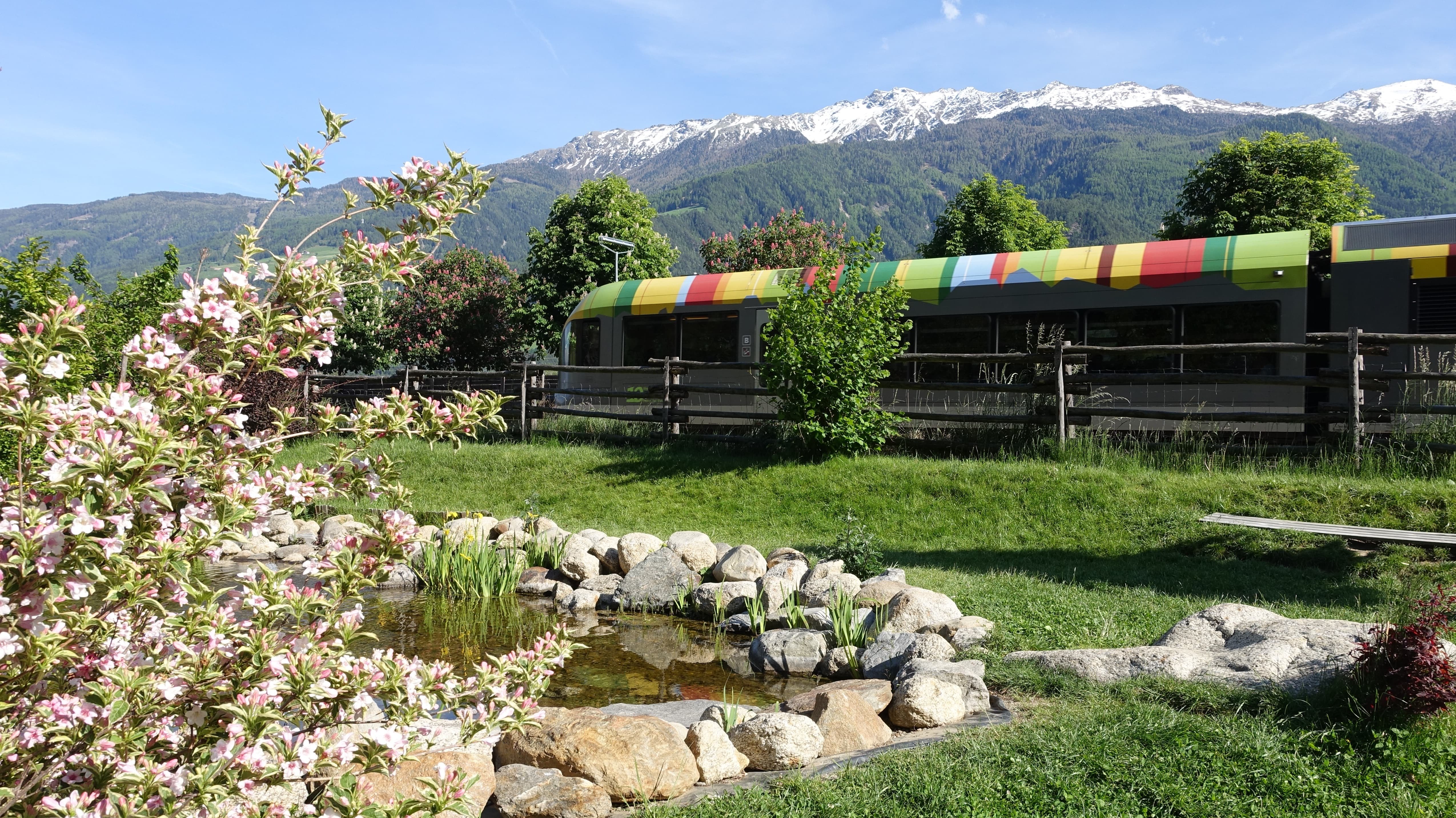Train in the middle of the nature